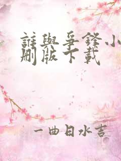 谁与争锋小说未删版下载