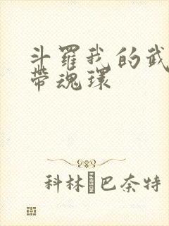 斗罗我的武魂自带魂环