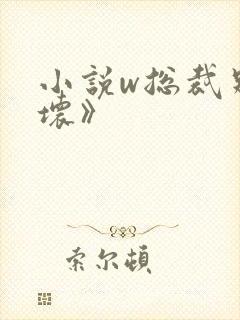 小说w总裁别太坏》