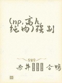 (np,高h,纯肉)强制