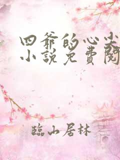 四爷的心尖宠妃小说免费阅读全文无窗口