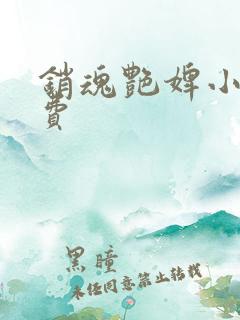 销魂艳婢小说免费