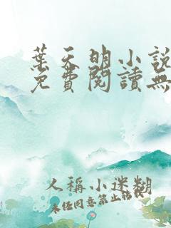 叶天明小说全文免费阅读无弹窗最新章节