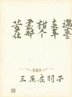 苦尽柑来遇见你在哪个平台看全集