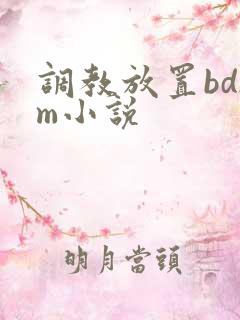 调教放置bdsm小说