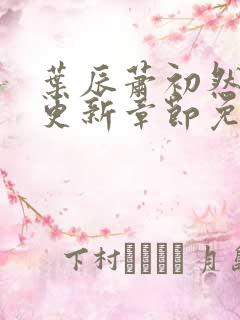 叶辰萧初然最快更新章节免费阅读