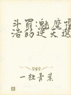 斗罗:魅魔霍雨浩的逆天选择器