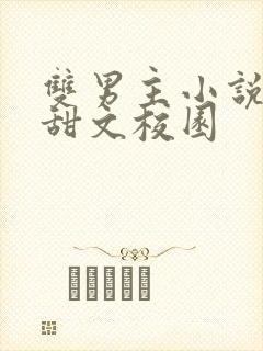 双男主小说推荐甜文校园