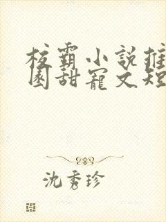 校霸小说推荐校园甜宠文短篇