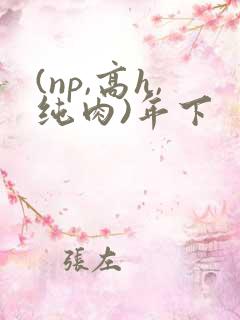 (np,高h,纯肉)年下
