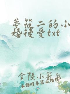 梦筱二的小说先婚后爱txt