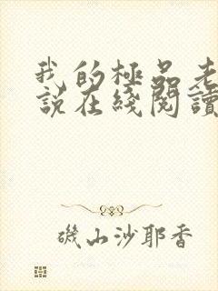 我的极品老婆小说在线阅读