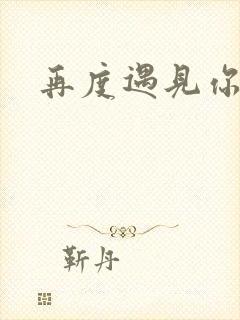 再度遇见你