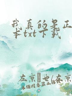 我真的是正派完本txt下载