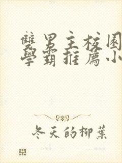 双男主校园文双学霸推荐小说完结