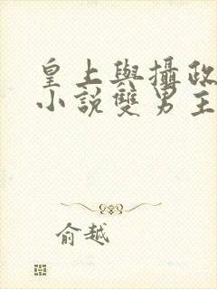 皇上与摄政王的小说双男主