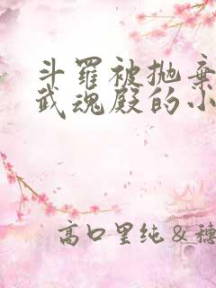 斗罗被抛弃加入武魂殿的小说