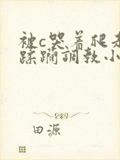 被c哭着爬走被蹂躏调教小说