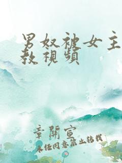 男奴被女主人调教视频