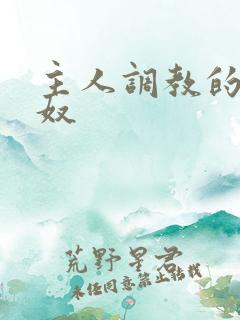 主人调教的小男奴