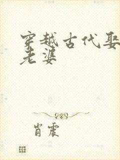 穿越古代娶一堆老婆