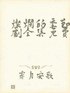 灿烂的季节电视剧全集免费观看完整版