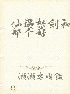 仙遇怒剑和藏剑哪个好