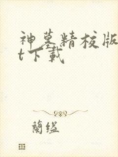 神墓精校版txt下载