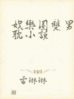 娱乐圈双男主原耽小说