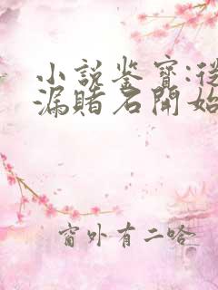 小说鉴宝:从捡漏赌石开始全文阅读