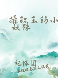 摄政王的小闲妻 妖殊