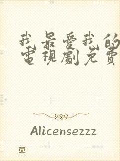 我最爱我的家人电视剧免费观看