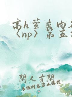 高h荤爽肉欲文〈np〉第五次