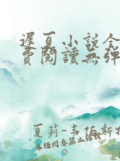 迟夏小说全文免费阅读无弹窗
