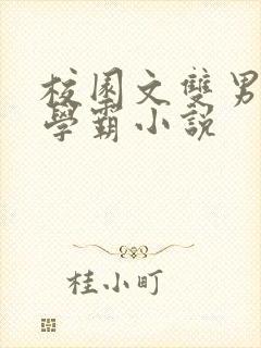 校园文双男主双学霸小说