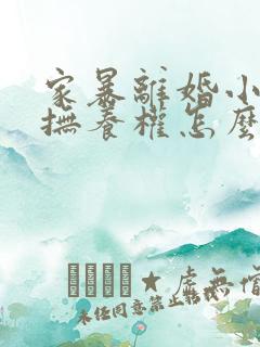 家暴离婚小孩子抚养权怎么判定