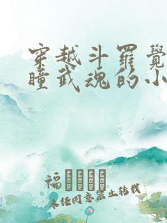 穿越斗罗觉醒重瞳武魂的小说