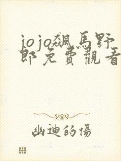 jojo飙马野郎免费观看