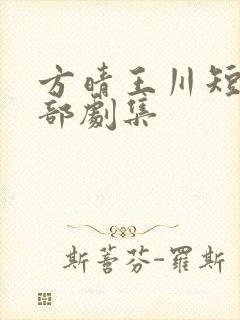 方晴王川短剧全部剧集