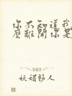 你不知道我为什么离开你是什么歌的歌词