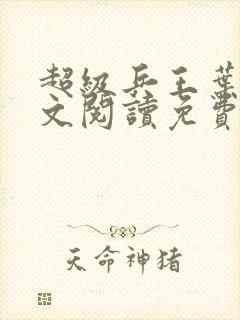 超级兵王叶谦全文阅读免费5043