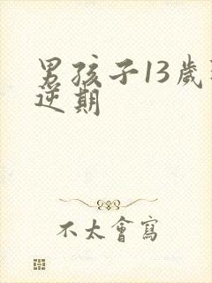 男孩子13岁叛逆期