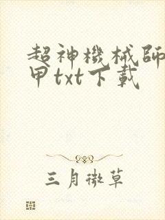 超神机械师齐佩甲txt下载