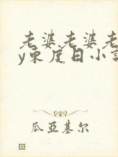 老婆老婆老婆by东度日小说讲了什么