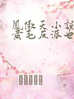 凤傲天小说里的黄毛反派也想获得幸福