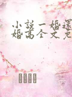 小说一婚还比一婚高全文免费阅读