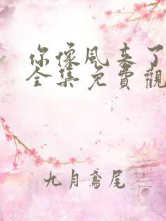 你像风来了短剧全集免费观看