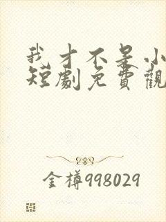 我才不是小可怜短剧免费观看全集