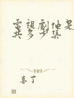 电视剧他是谁一共多少集