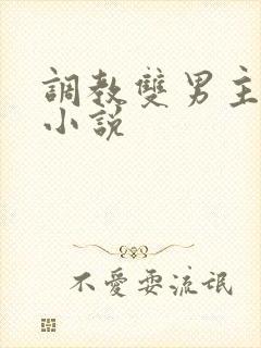 调教双男主奴隶小说